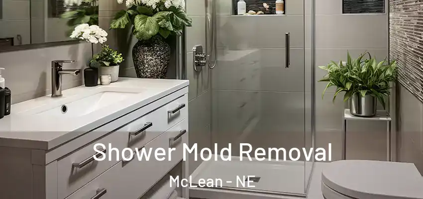  Shower Mold Removal McLean - NE