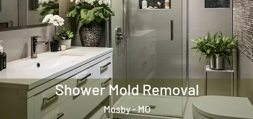  Shower Mold Removal Mosby - MO