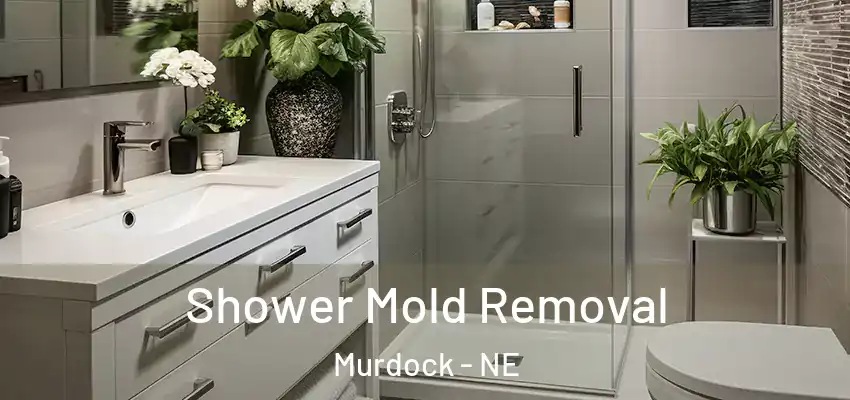 Shower Mold Removal Murdock - NE