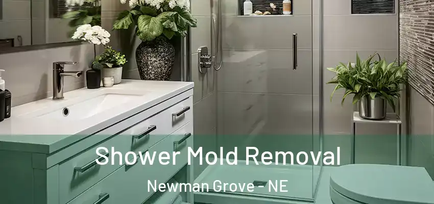  Shower Mold Removal Newman Grove - NE