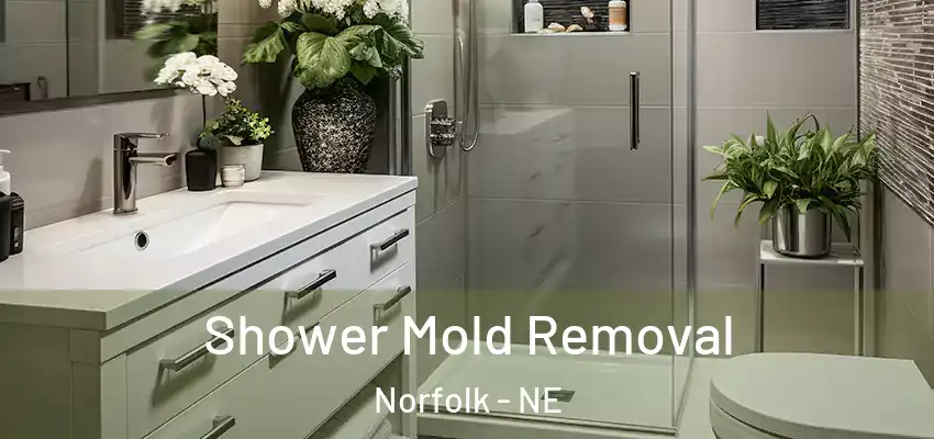  Shower Mold Removal Norfolk - NE