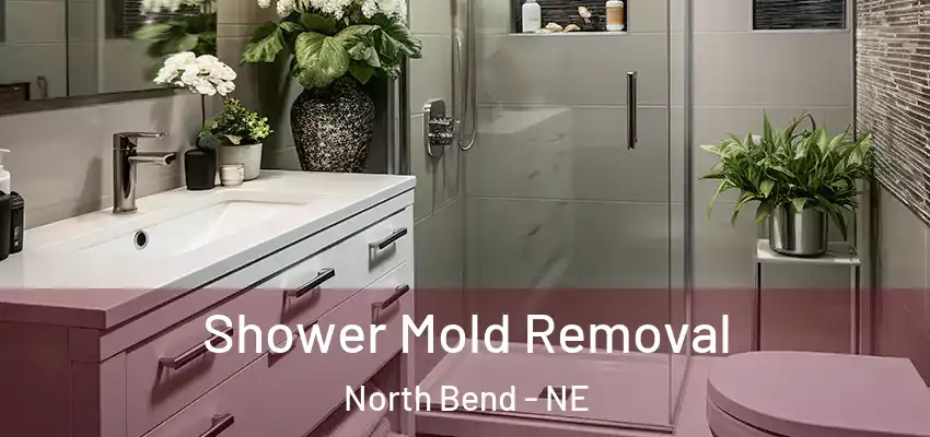  Shower Mold Removal North Bend - NE
