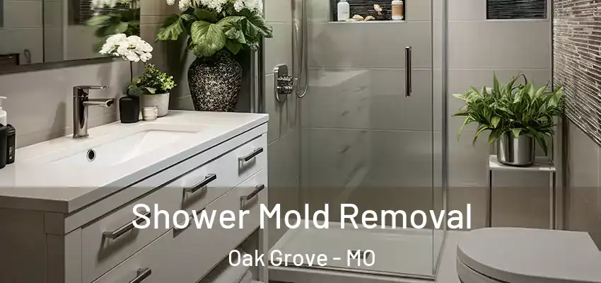 Shower Mold Removal Oak Grove - MO