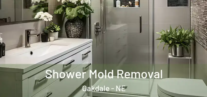 Shower Mold Removal Oakdale - NE