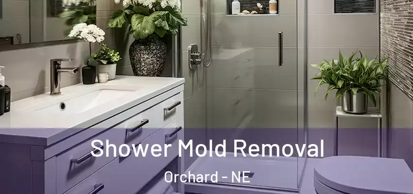  Shower Mold Removal Orchard - NE