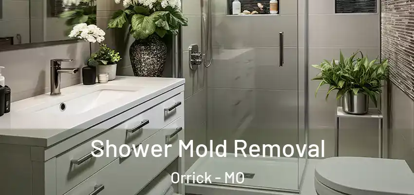 Shower Mold Removal Orrick - MO