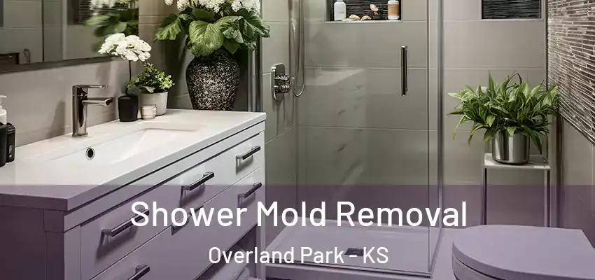  Shower Mold Removal Overland Park - KS
