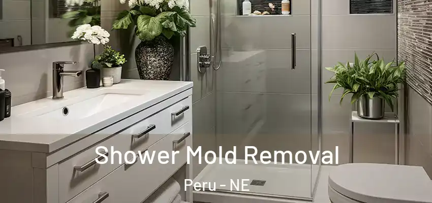  Shower Mold Removal Peru - NE