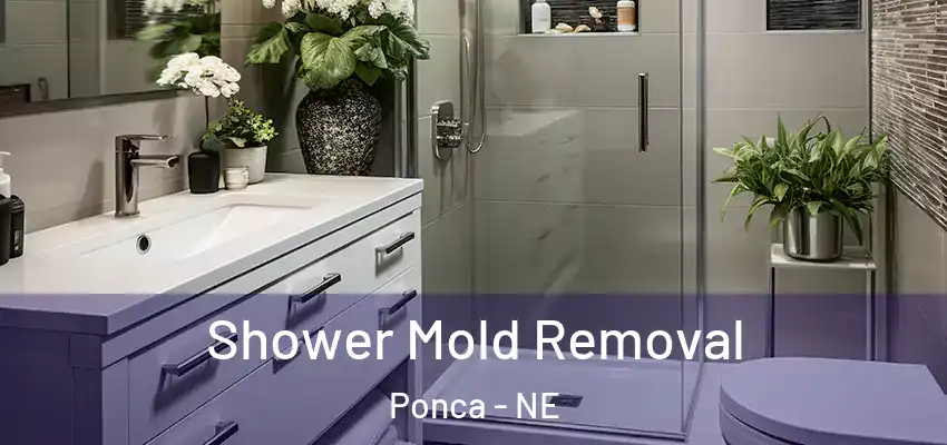  Shower Mold Removal Ponca - NE