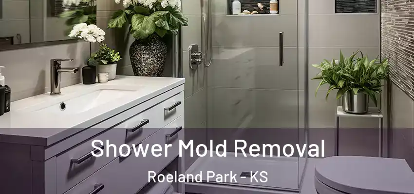 Shower Mold Removal Roeland Park - KS