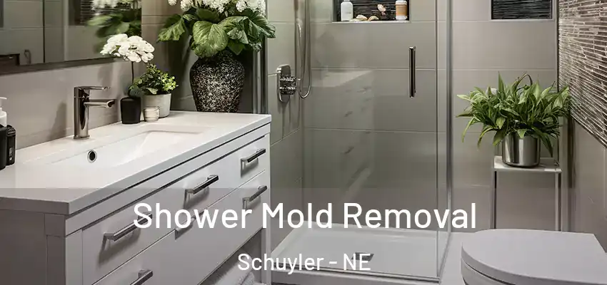  Shower Mold Removal Schuyler - NE