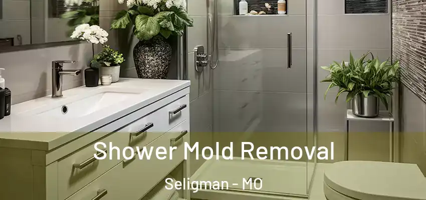  Shower Mold Removal Seligman - MO