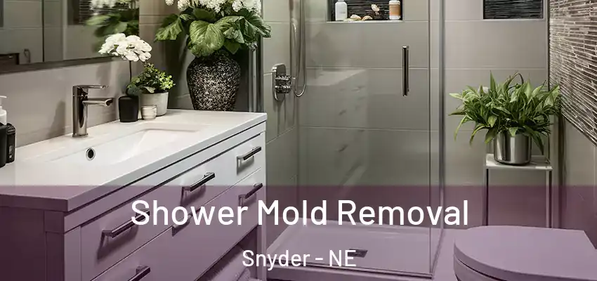  Shower Mold Removal Snyder - NE