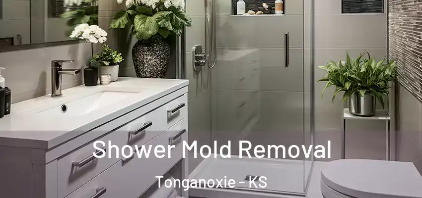  Shower Mold Removal Tonganoxie - KS