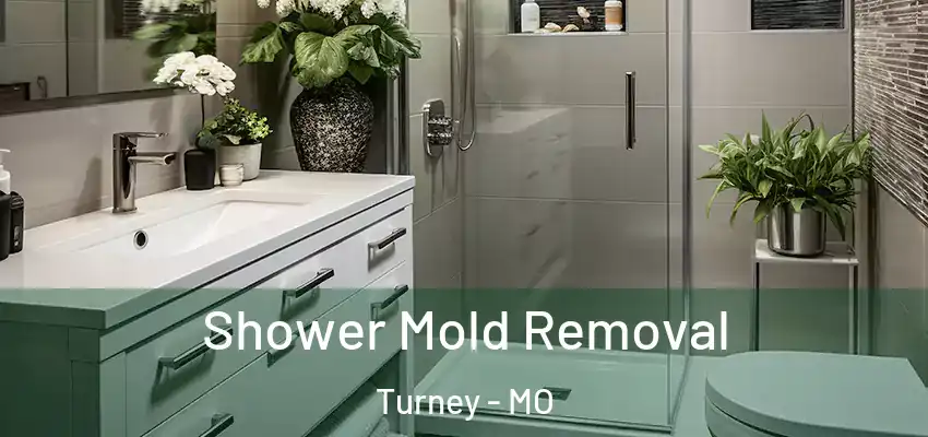  Shower Mold Removal Turney - MO