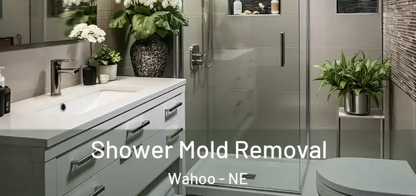  Shower Mold Removal Wahoo - NE