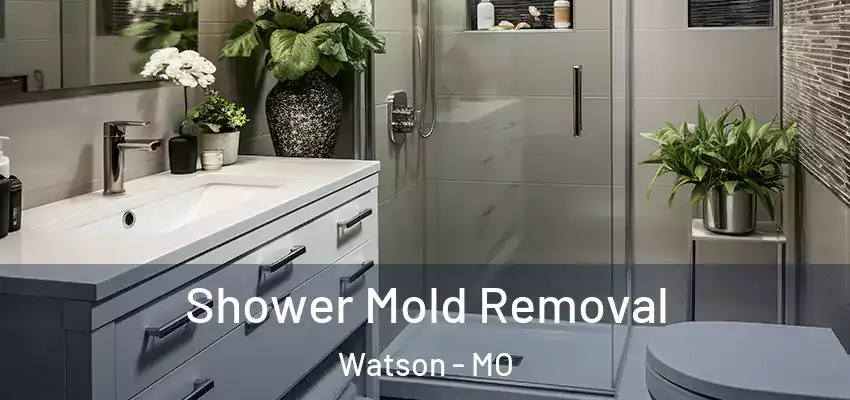 Shower Mold Removal Watson - MO