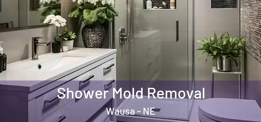 Shower Mold Removal Wausa - NE