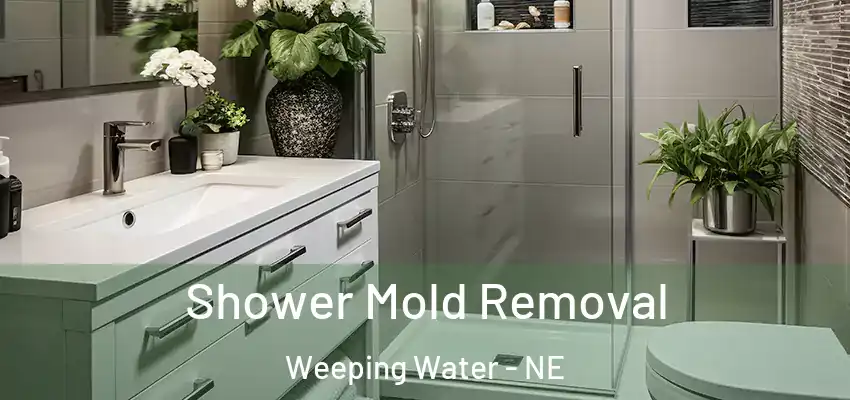 Shower Mold Removal Weeping Water - NE
