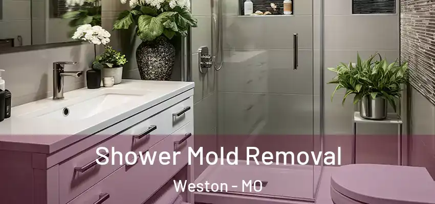  Shower Mold Removal Weston - MO