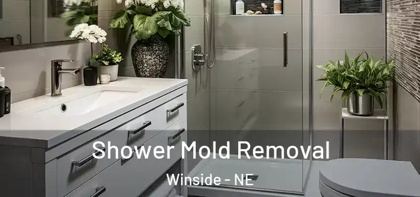  Shower Mold Removal Winside - NE