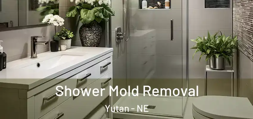  Shower Mold Removal Yutan - NE
